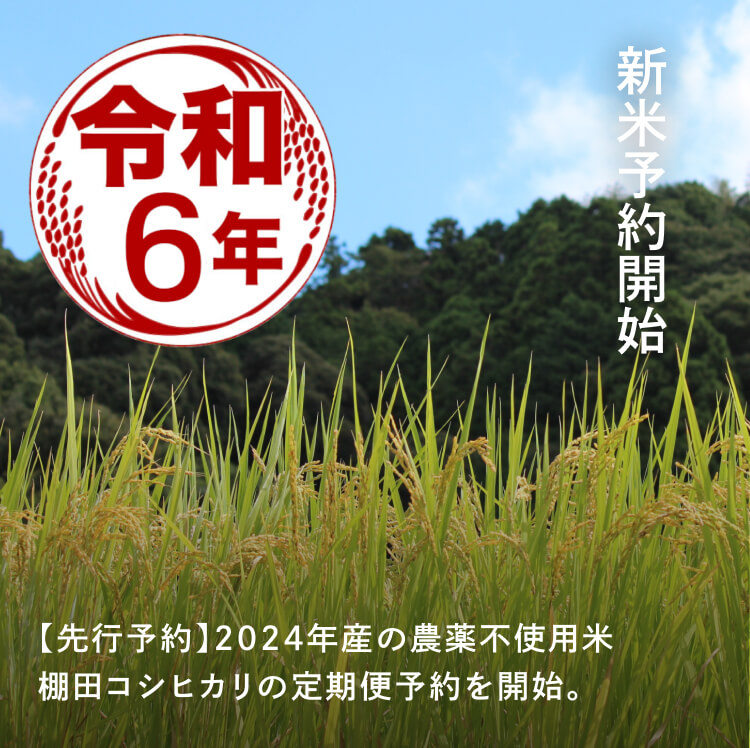 お米、雑穀、無添加食品の通販なら｜石川商店オンラインショップ